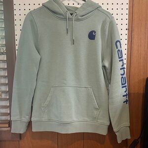 Carhartt Men's Sage Green Hoodie